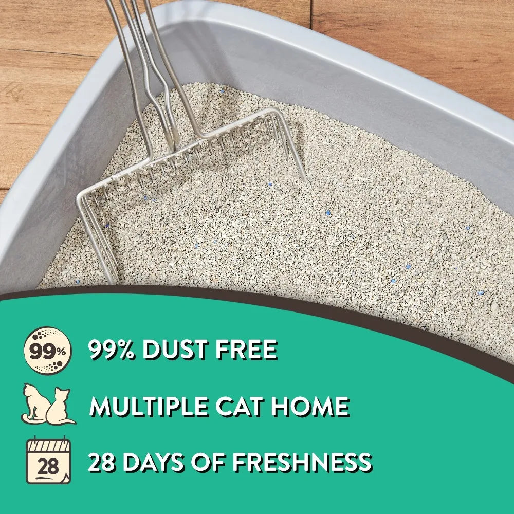 Clumping Cat Litter Clay Fresh Scent Odor Control 4-Pack