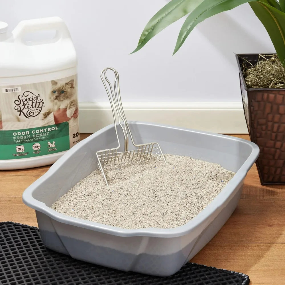 Clumping Cat Litter Clay Fresh Scent Odor Control 4-Pack